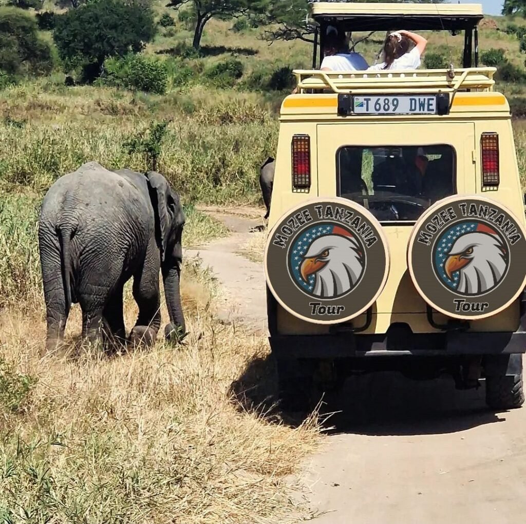 10 Days/9 Nights Safari Package