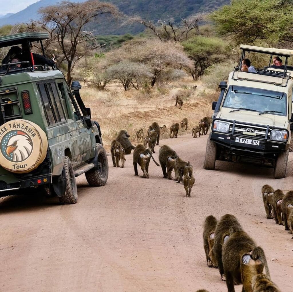 7 Days / 6 Night Safari Package