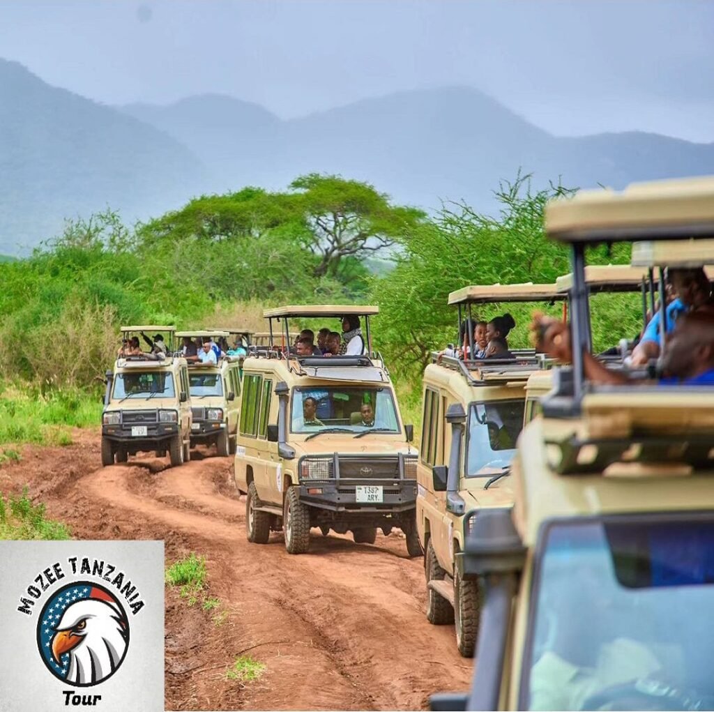 5 Days/ 4 Night Safari Package
