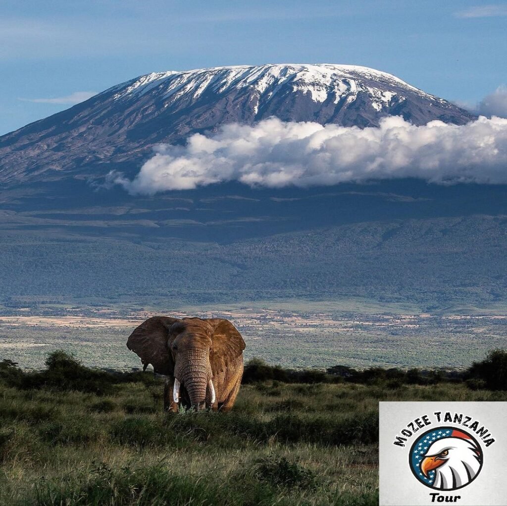 3 Days/ 2 Nights Safari Package