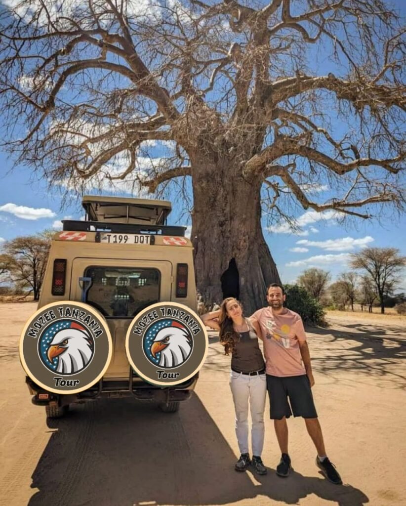 Walking Safaris
