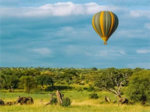 Baloon Safaris